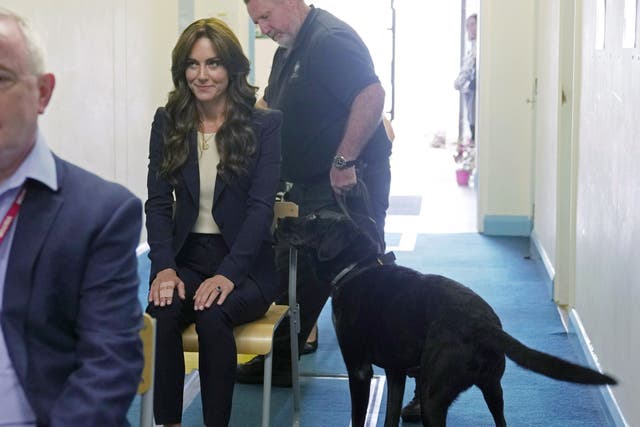 <p>Kate being checked by a drug detection dog during a visit to HMP High Down in Surrey (Kin Cheung/PA)</p>