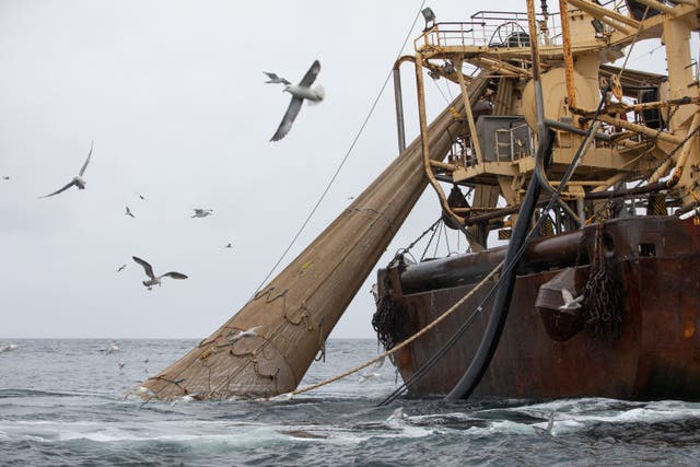 Super trawlers are permitted to fish within Marine Protected Areas in the North Sea (Suzanne Plunkett/Oceana/PA)
