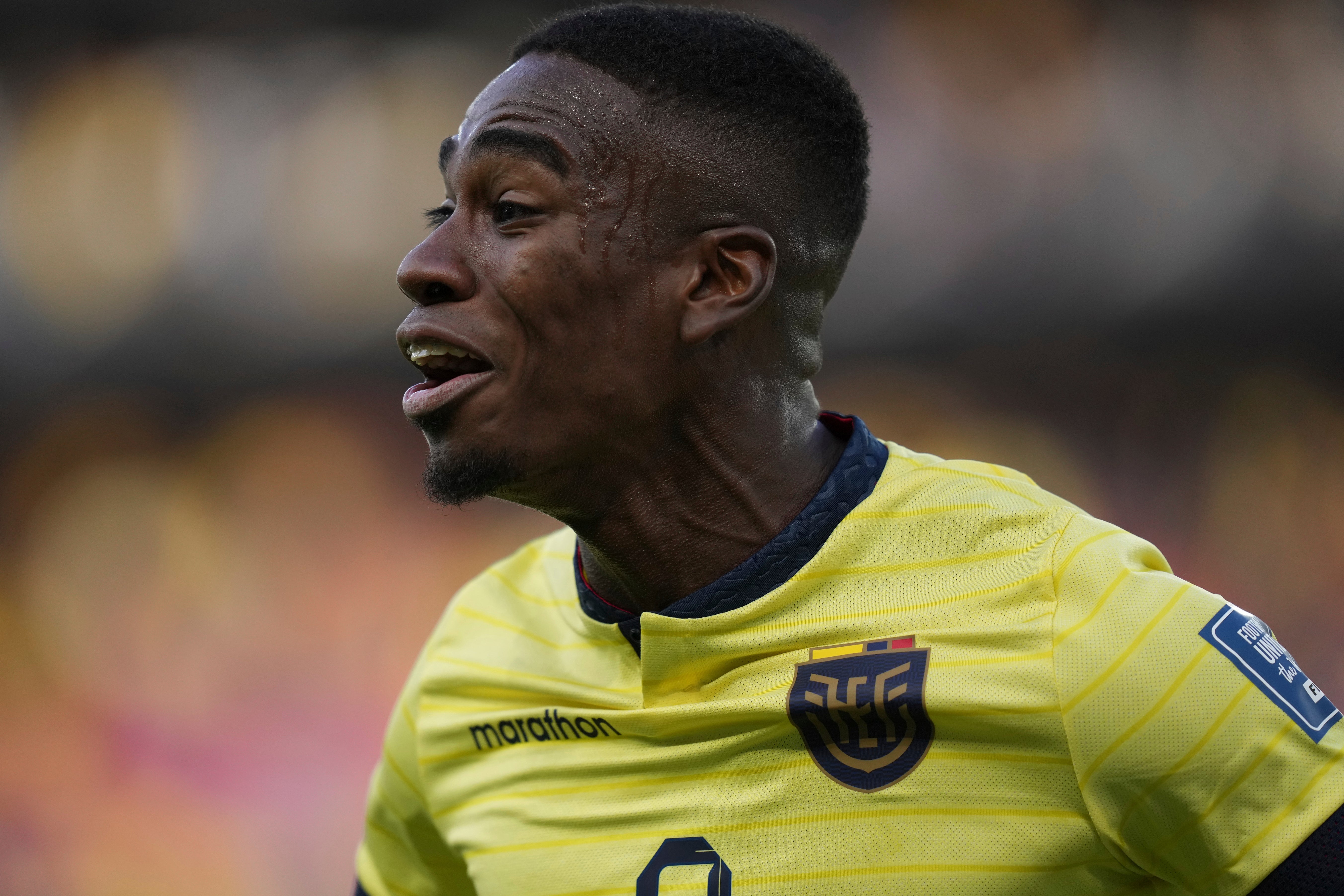 MUNDIAL ECUADOR-URUGUAY