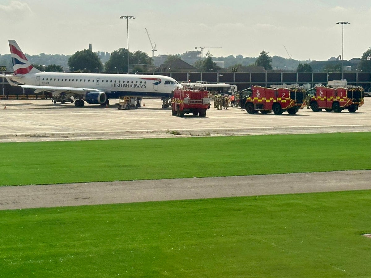 British Airways flight forced to make emergency landing after ‘terrible’ burning smell detected in cabin