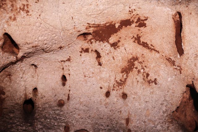 A horse head painted with clay found in Cova Dones (Aitor Ruiz-Redondo/Virginia Barciela/Ximo Martorell/PA)