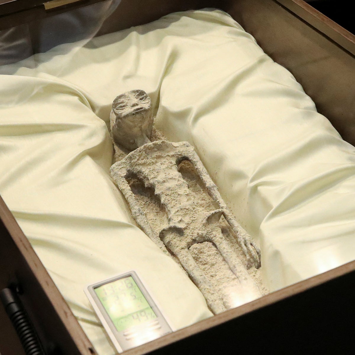 Mystery of Mexico's 'alien corpses' continues as new DNA findings revealed | The Independent