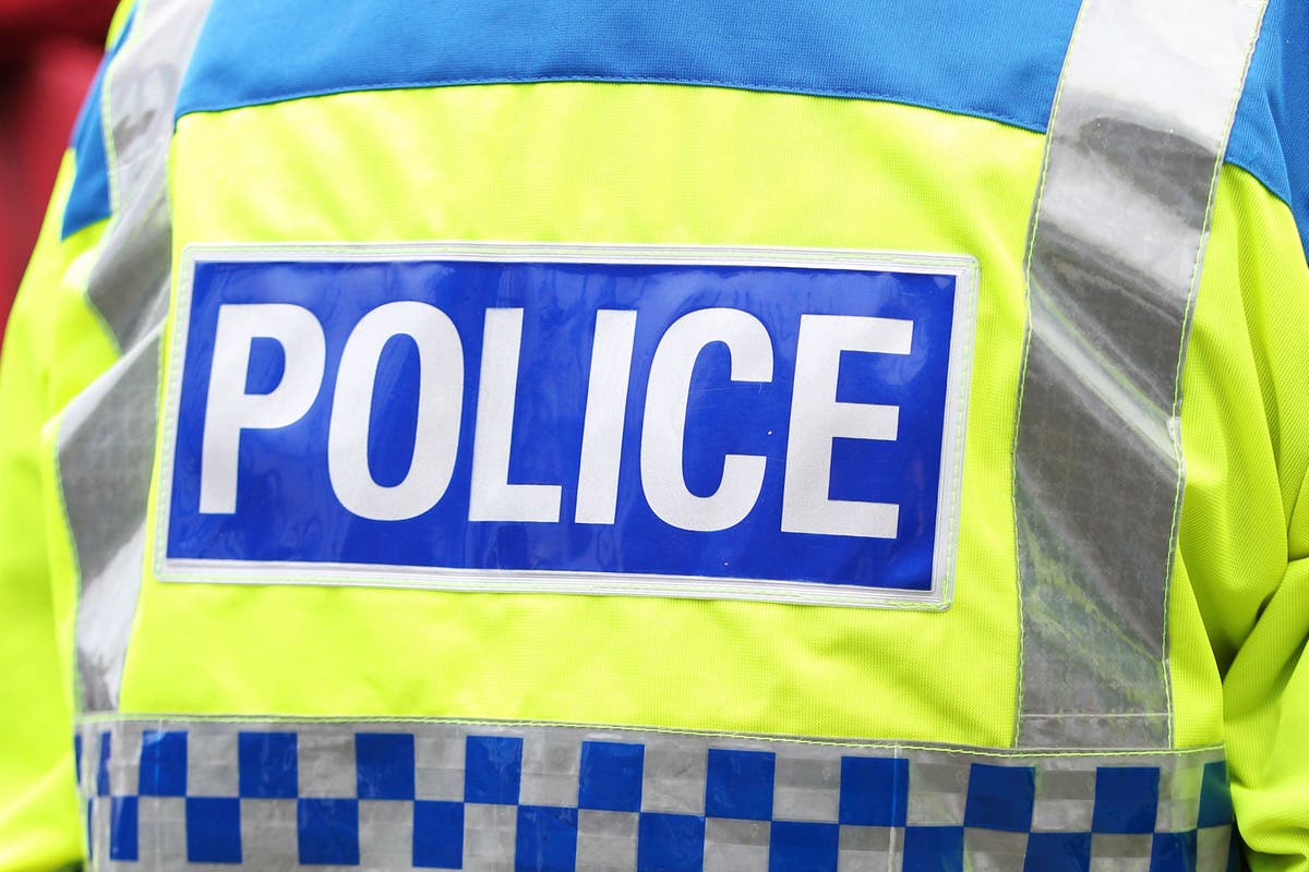 Man arrested after 11-year-old injured in attack by American bully XL dog