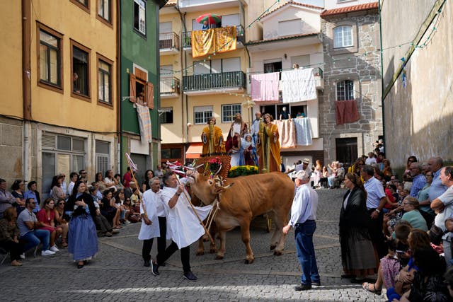 Portugal Ox-drawn Sacred Procession
