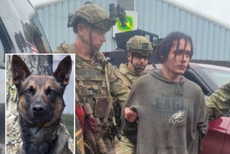 Hundreds of police officers hunted for Danelo Cavalcante for two weeks. A dog secured his capture