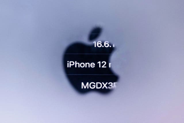 <p>A photograph taken on 13 September, 2023 in Paris shows information of an iPhone 12 reflected in the Apple logo, as French regulators ordered Apple to halt sales for emitting too much electromagnetic radiation</p>