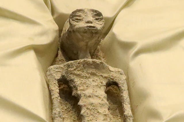 <p>Remains of an allegedly ‘non-human’ being is seen on display in a box during a briefing on unidentified flying objects</p>