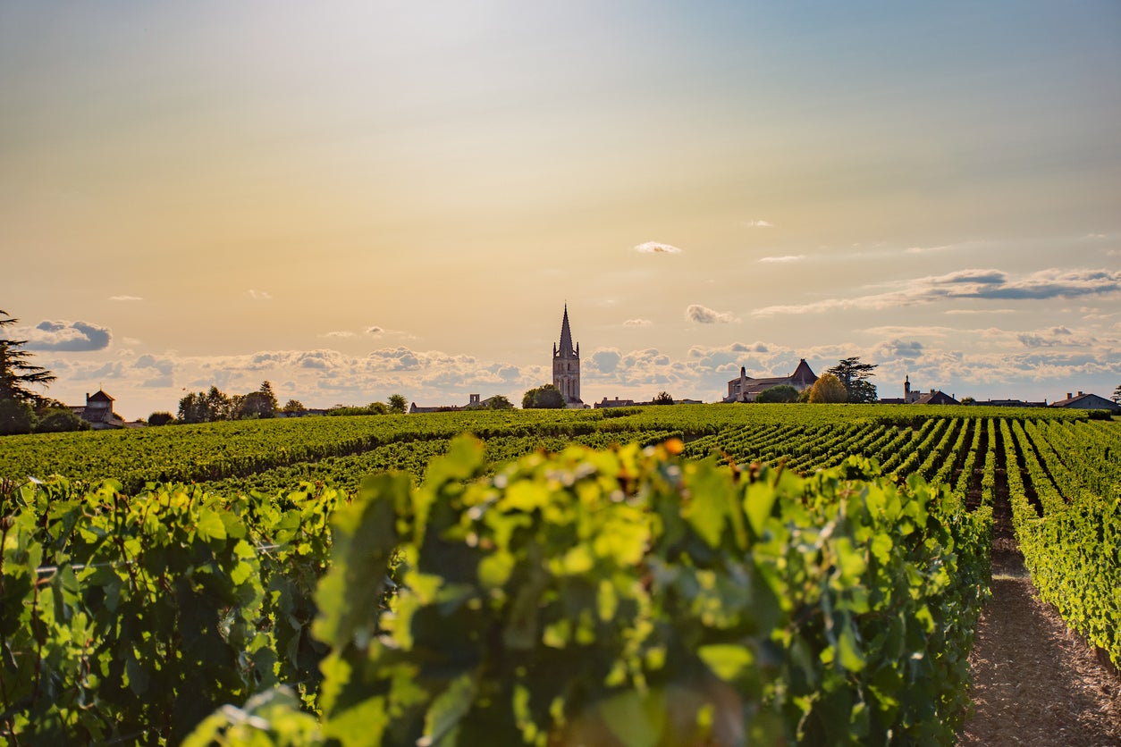 Bordeaux is home to around 7,000 different wineries