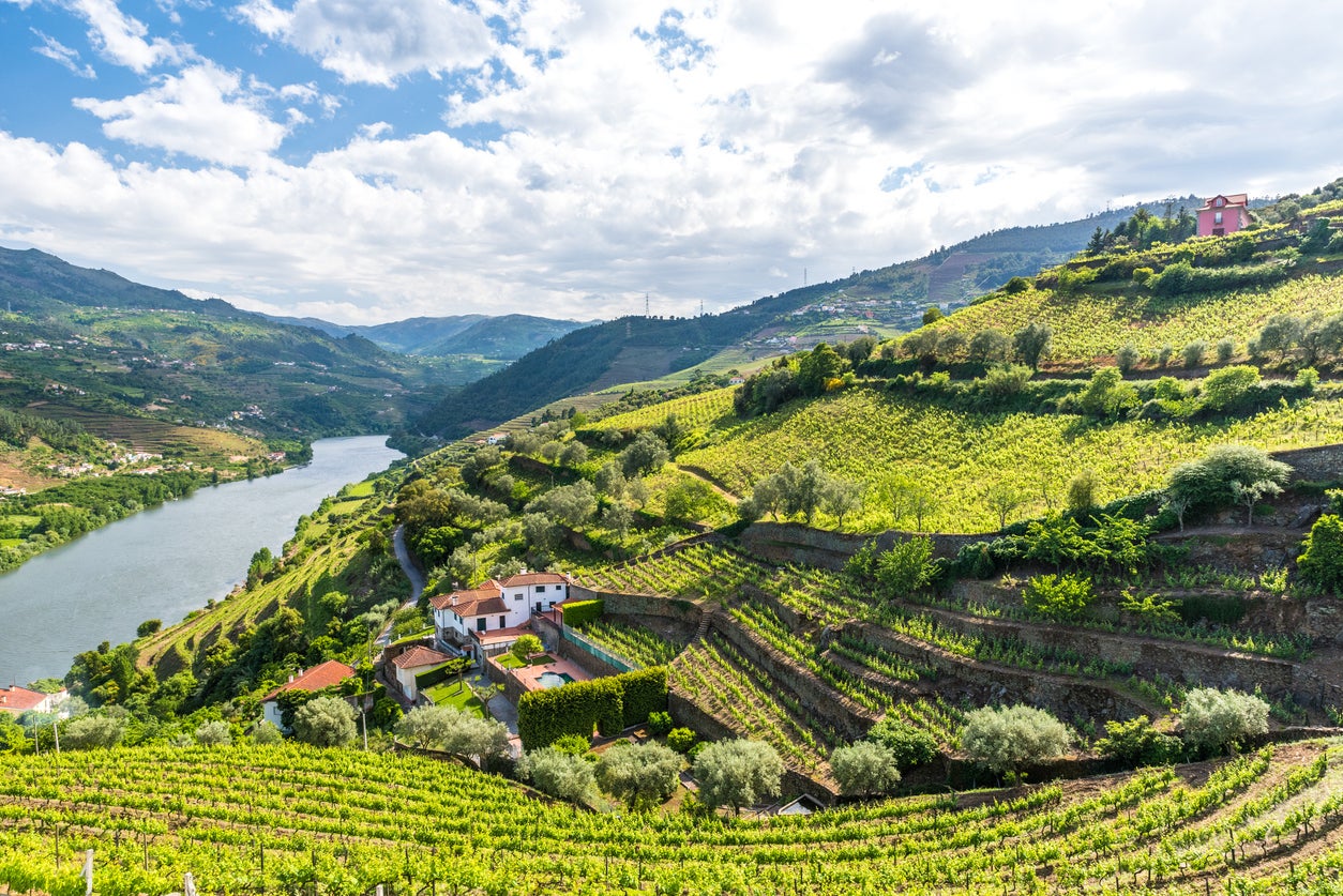 The Douro Valley is one of 笔辞谤迟耻驳补濒’蝉 most renowned wine-producing regions