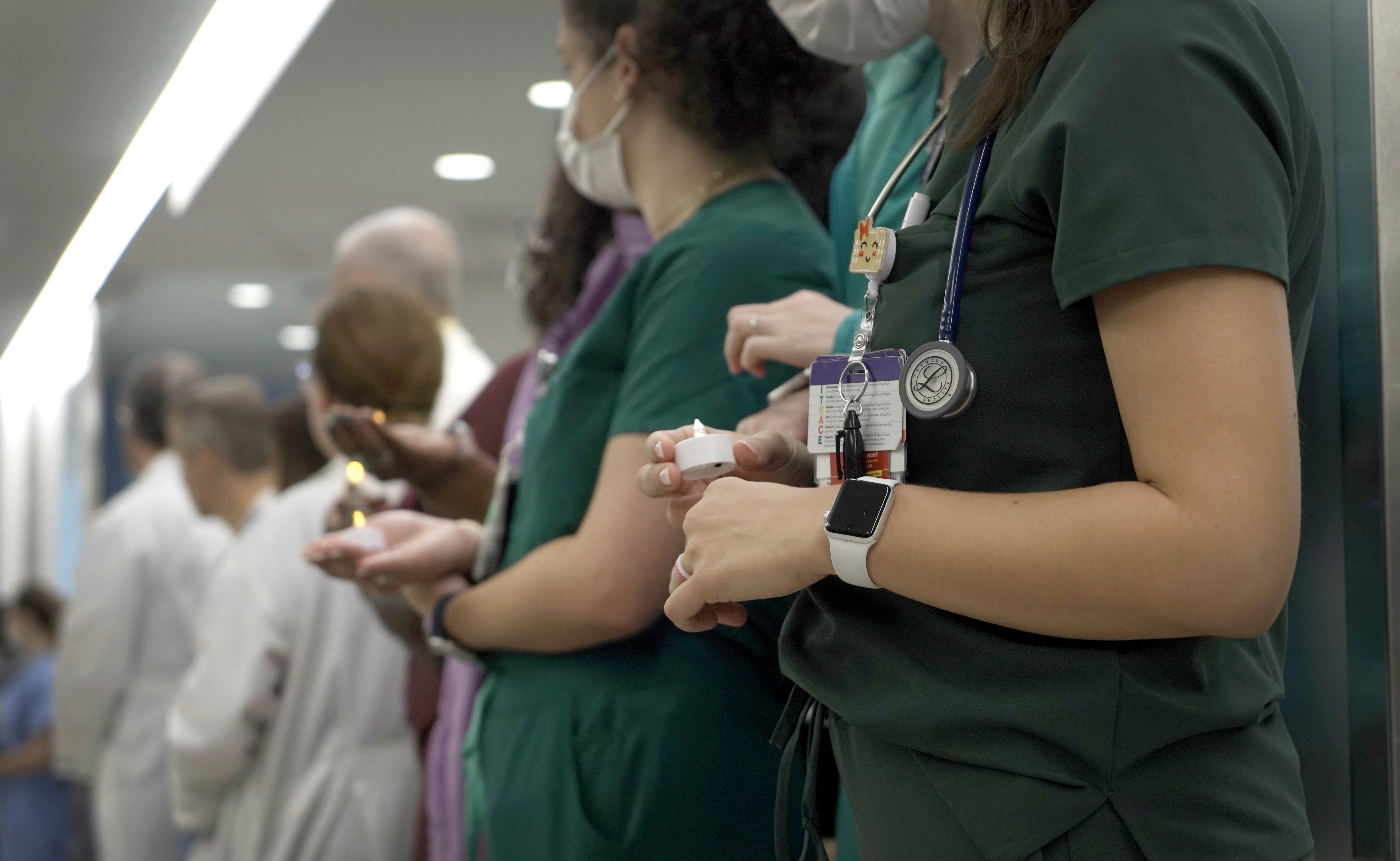 Pig Kidney Transplant Experiment