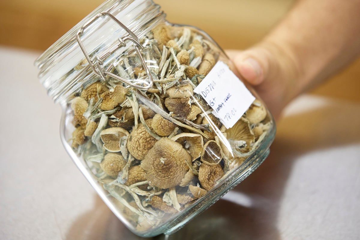 Magic mushrooms can ease depression resistant to other treatments, major study finds