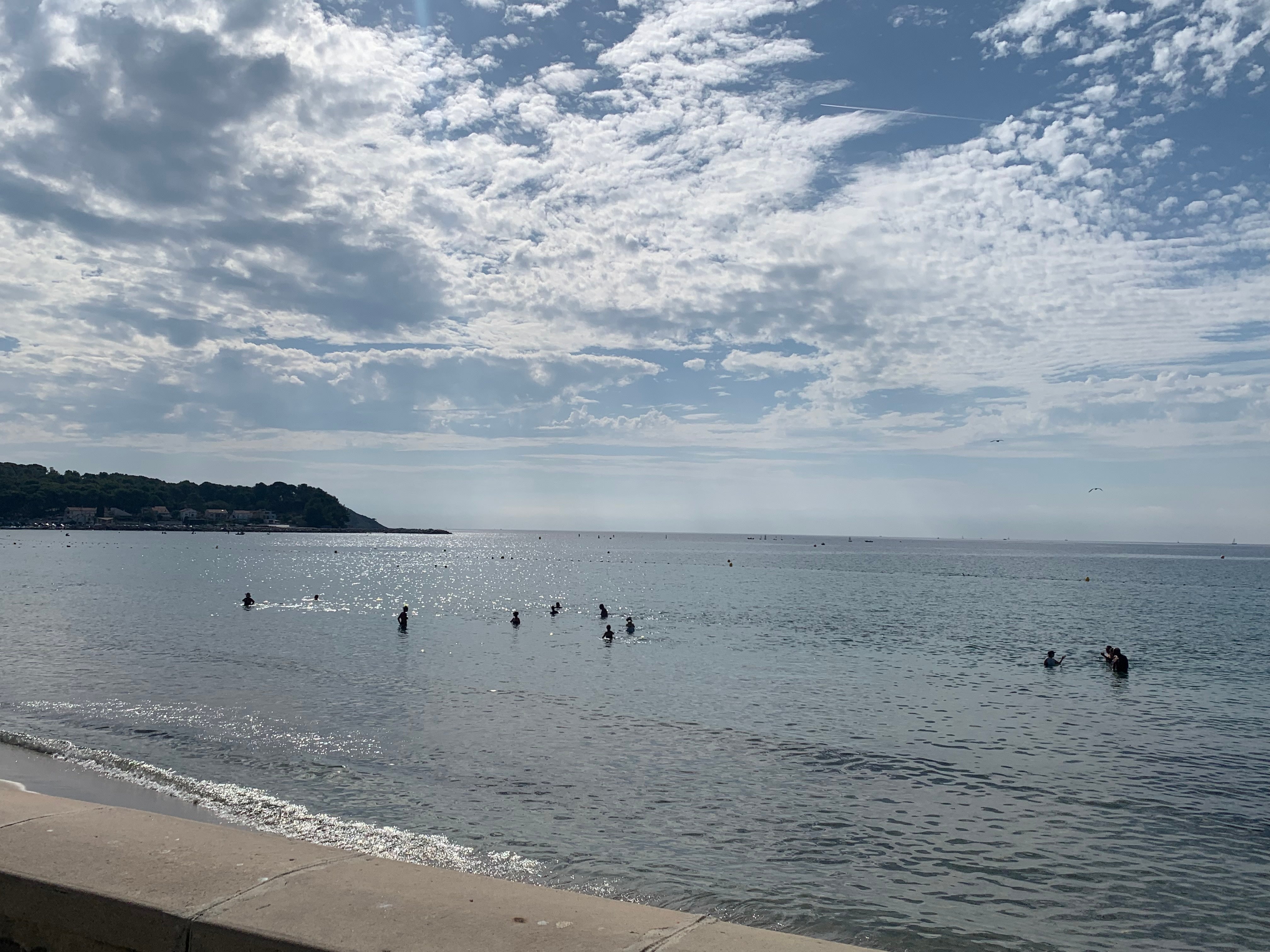 South Africa players enjoy a swim in the sea between training sessions