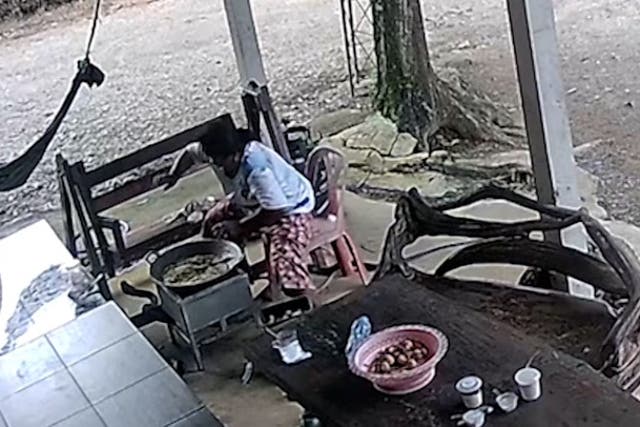 <p>Huge king cobra snake attacks woman while she cooks dinner in Thailand.</p>