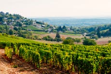 Fancy France for your summer holidays? Here’s some of the best breaks to book