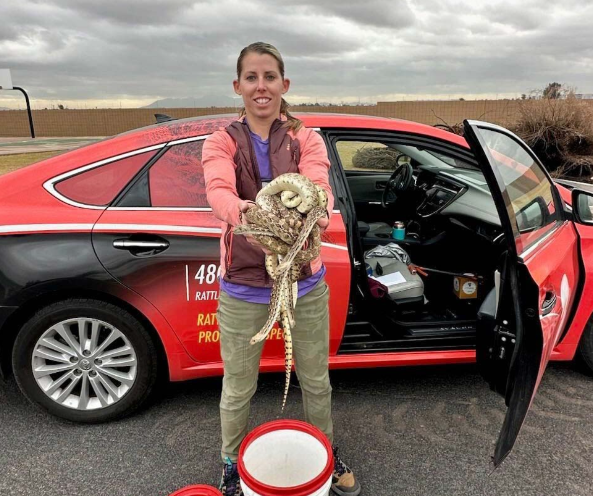 Snake wrangler Marissa Maki found 20 rattlesnakes in a garage in Mesa, Arizona