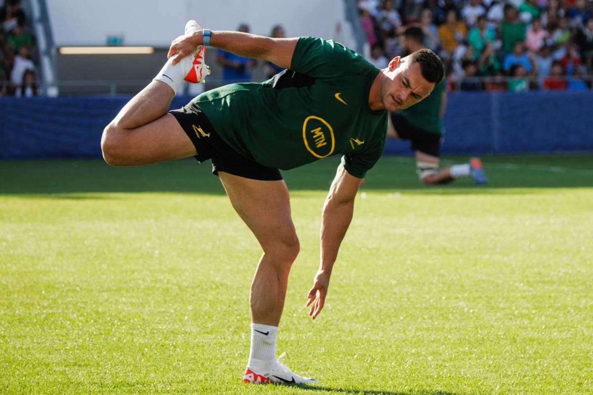 South Africa v Romania LIVE: Rugby World Cup team news and latest ...
