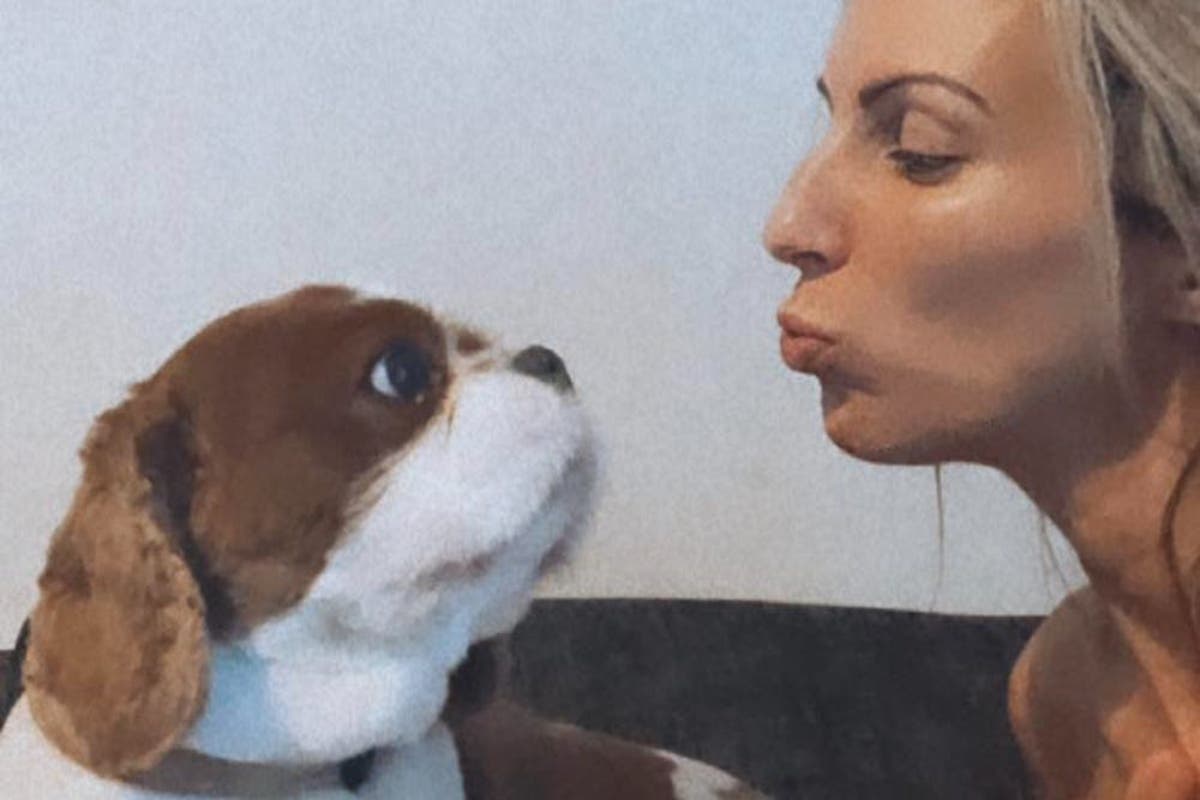 Mother says fatal attack on dog by suspected XL bully has 'destroyed our family' - Vimarsana News