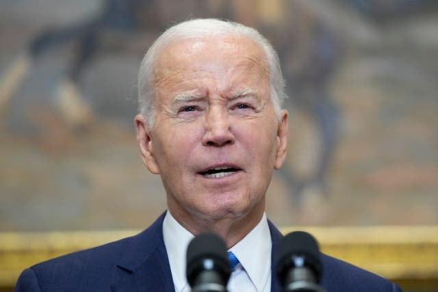 <p>Joe Biden has faced increasing questions about his fitness to run again in 2024 </p>