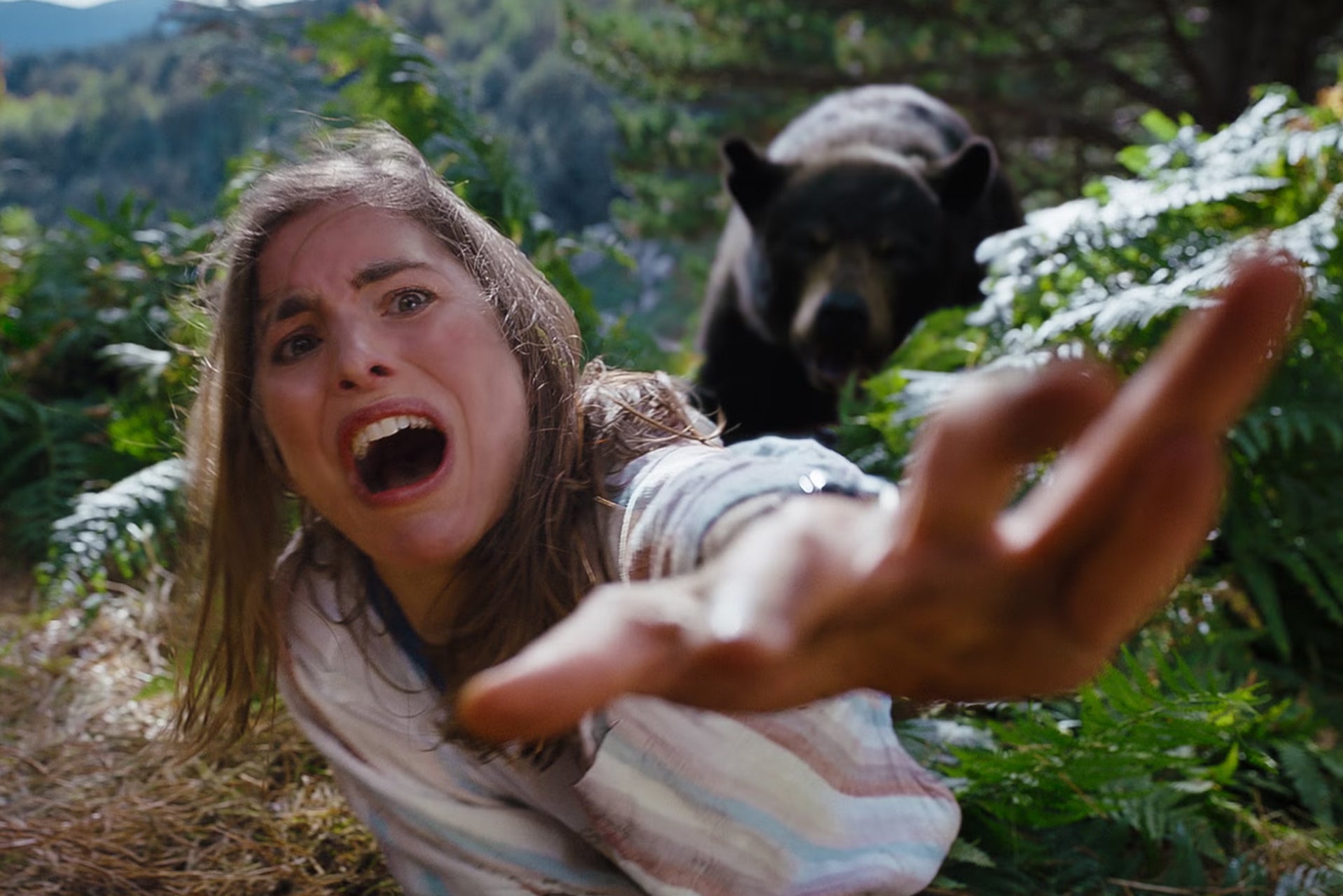 <p>Hannah Hoekstra (and Cocaine Bear) in ‘Cocaine Bear’ </p>