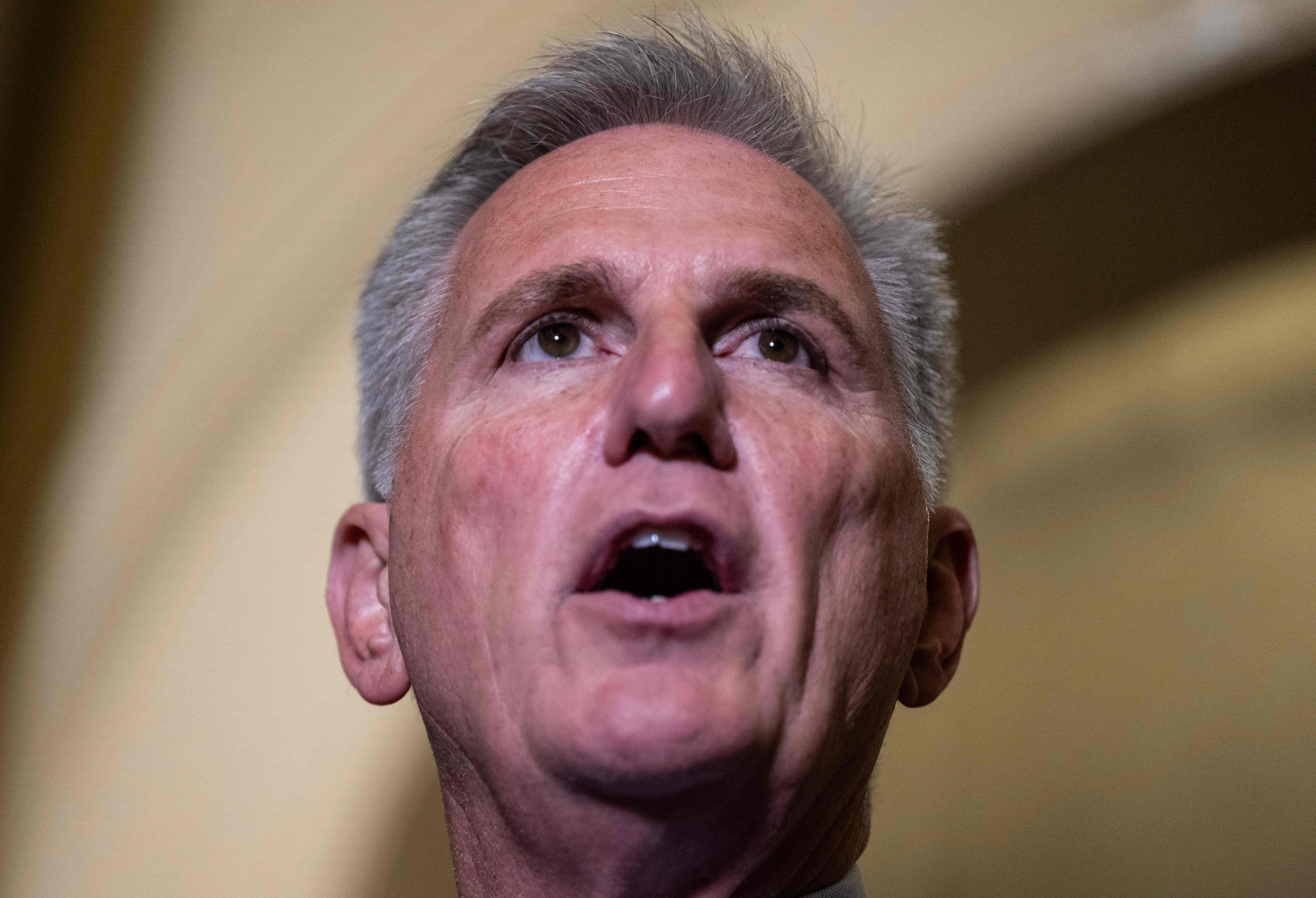 Kevin McCarthy And House Republicans Will Own This Shutdown | The ...