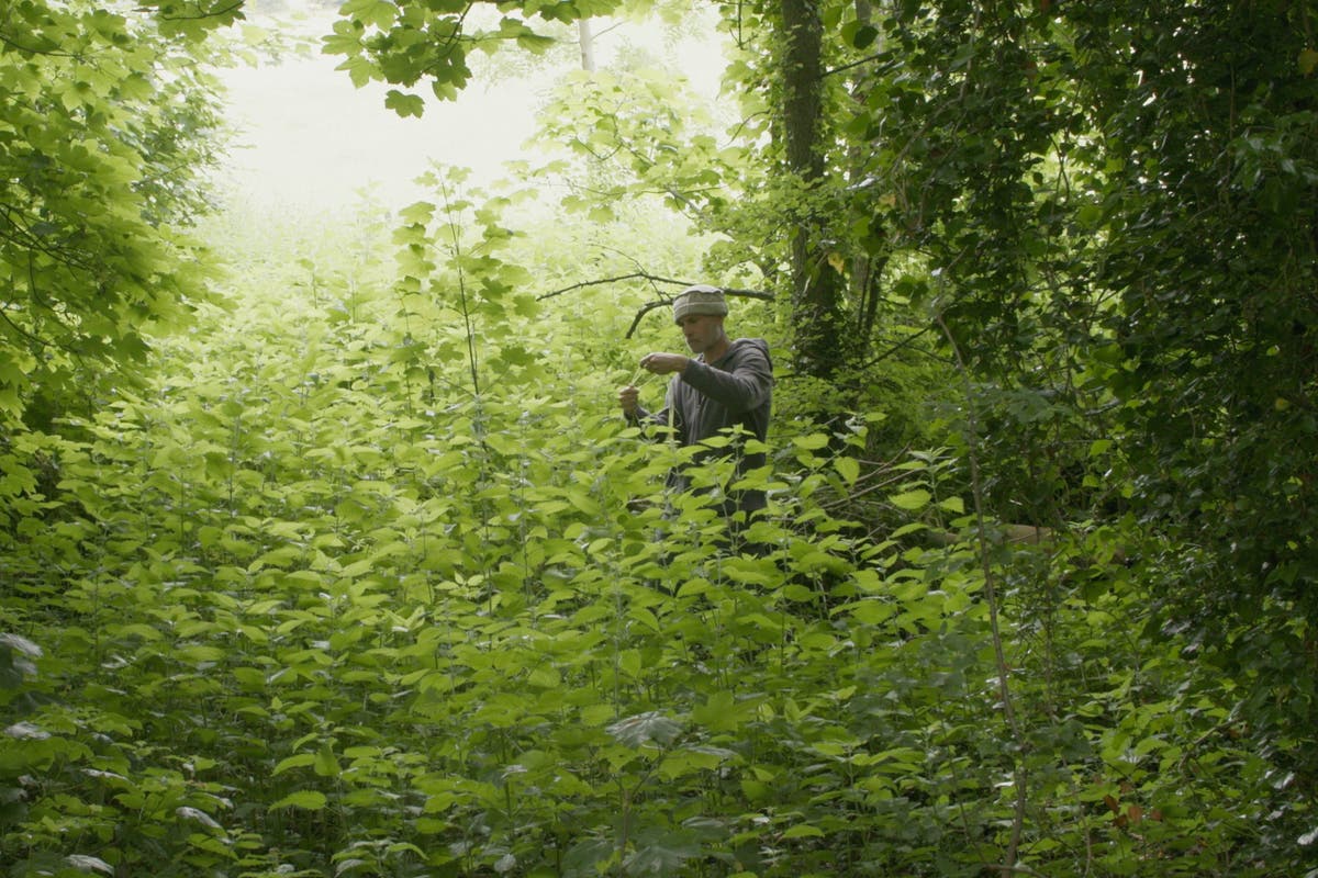Man spends seven years making stinging nettle dress as he processes wife&rsquo;s death
