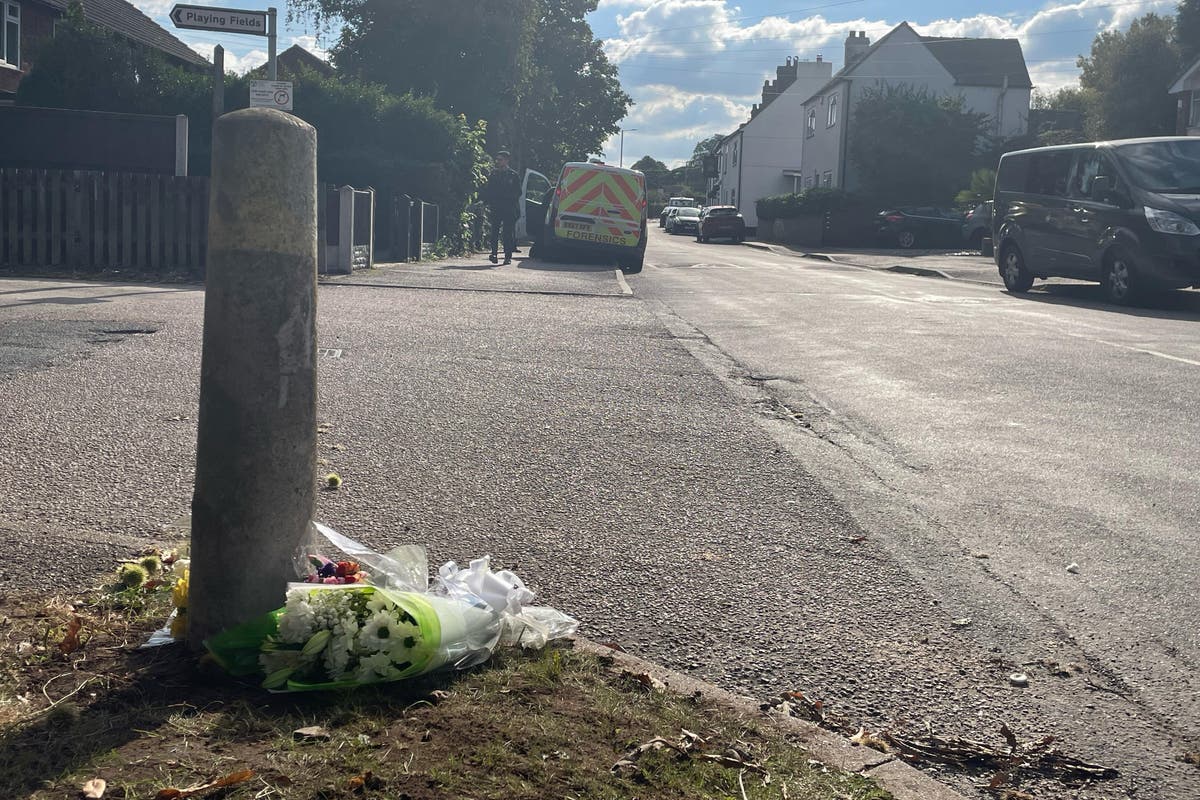 Man released on bail after arrest over fatal dog attack