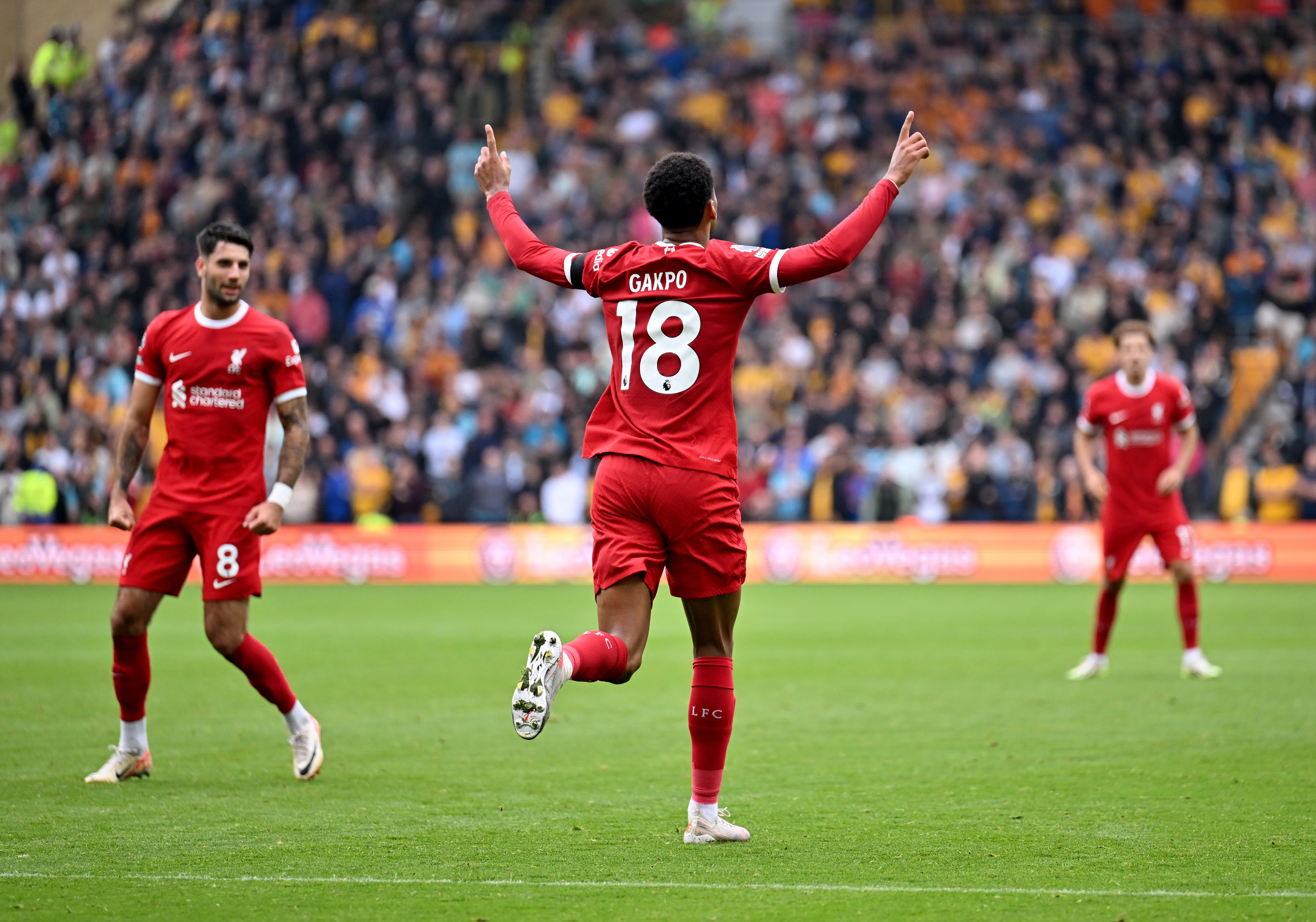 Cody Gakpo celebrates after levelling for Liverpool