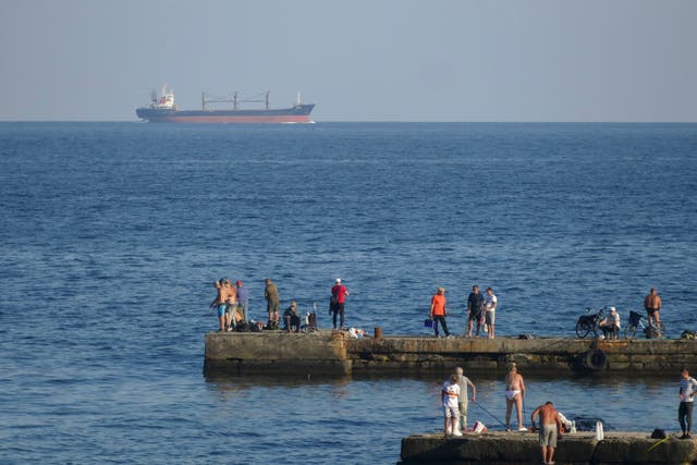 <p>Palau-flagged bulk carrier Aroyat arrives to Chornomorsk seaport, near Odesa, southern Ukraine</p>