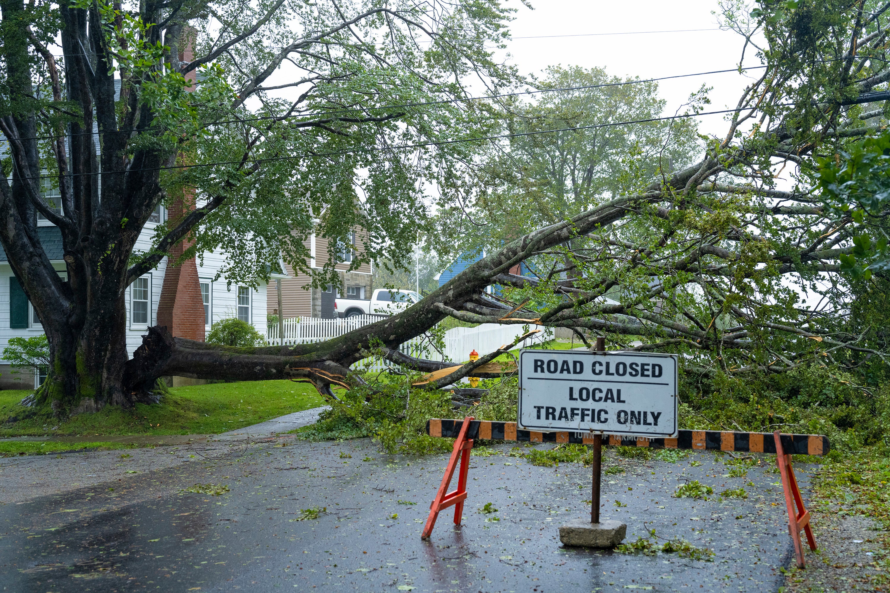 A downed tree hangs on power lines in Nova Scotia, Canada