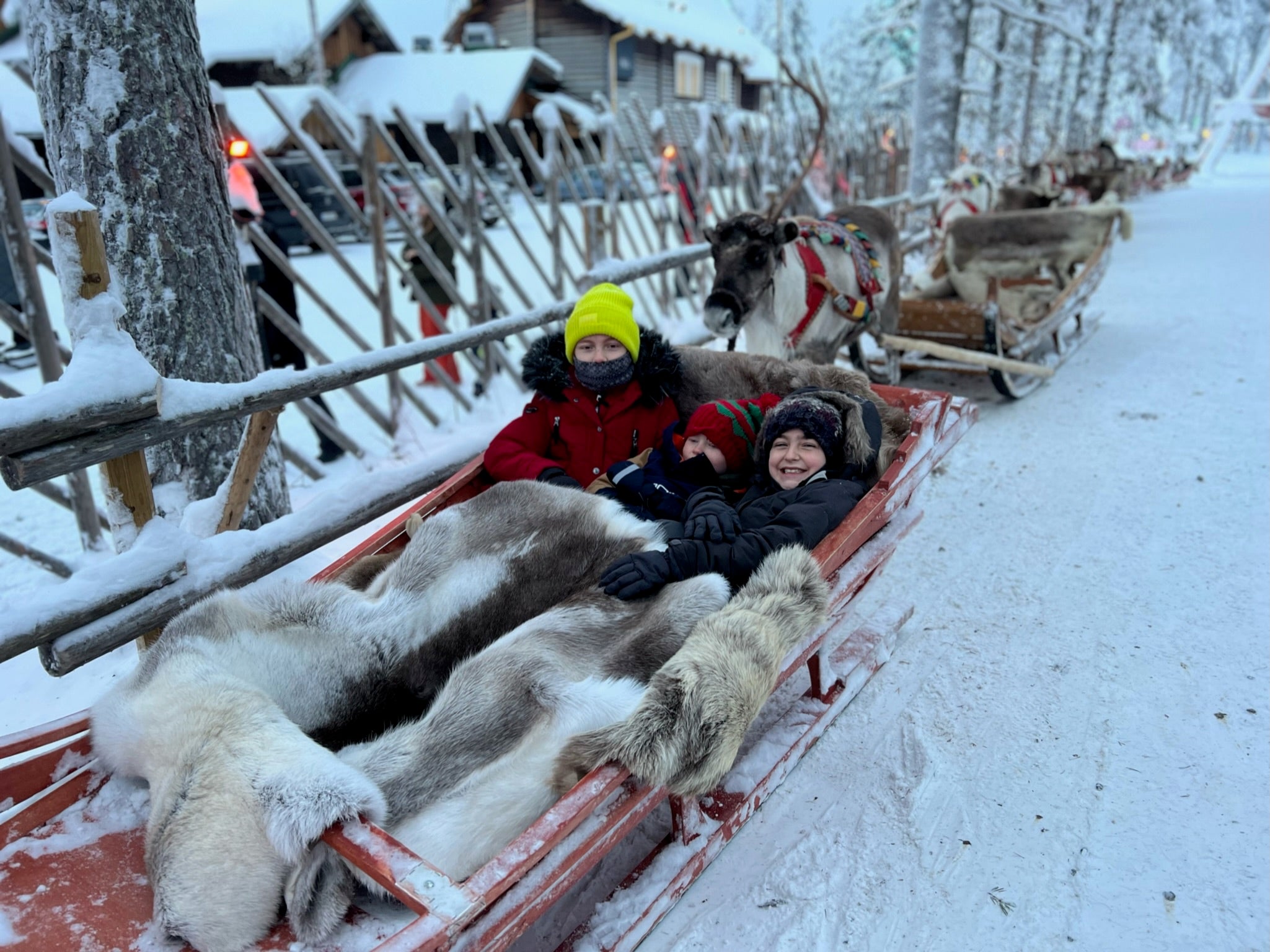 Maisie, Pippa and Marley in a toboggan in Lapland, December 2022.