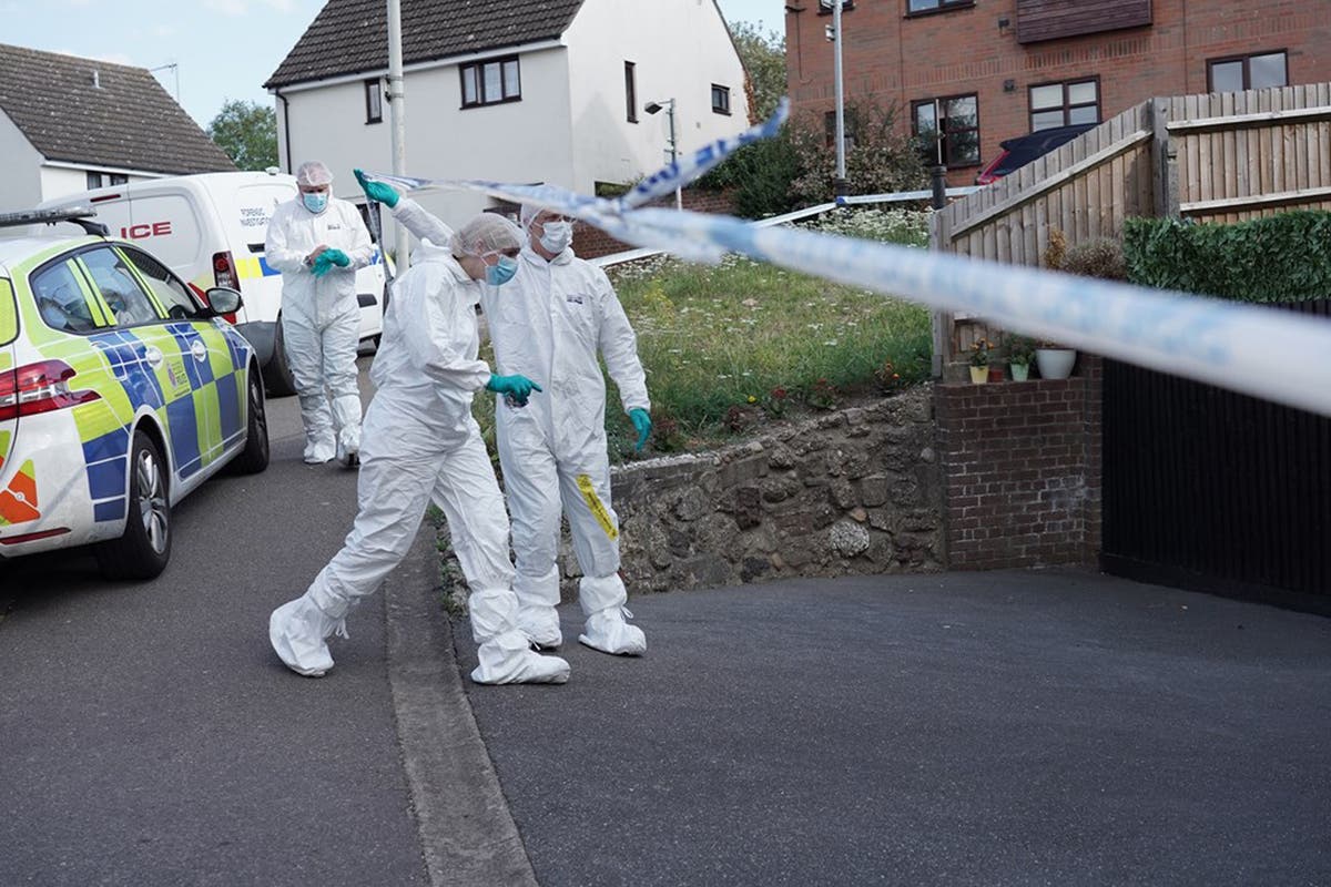 Woman, 35, charged with murdering her parents in Essex 