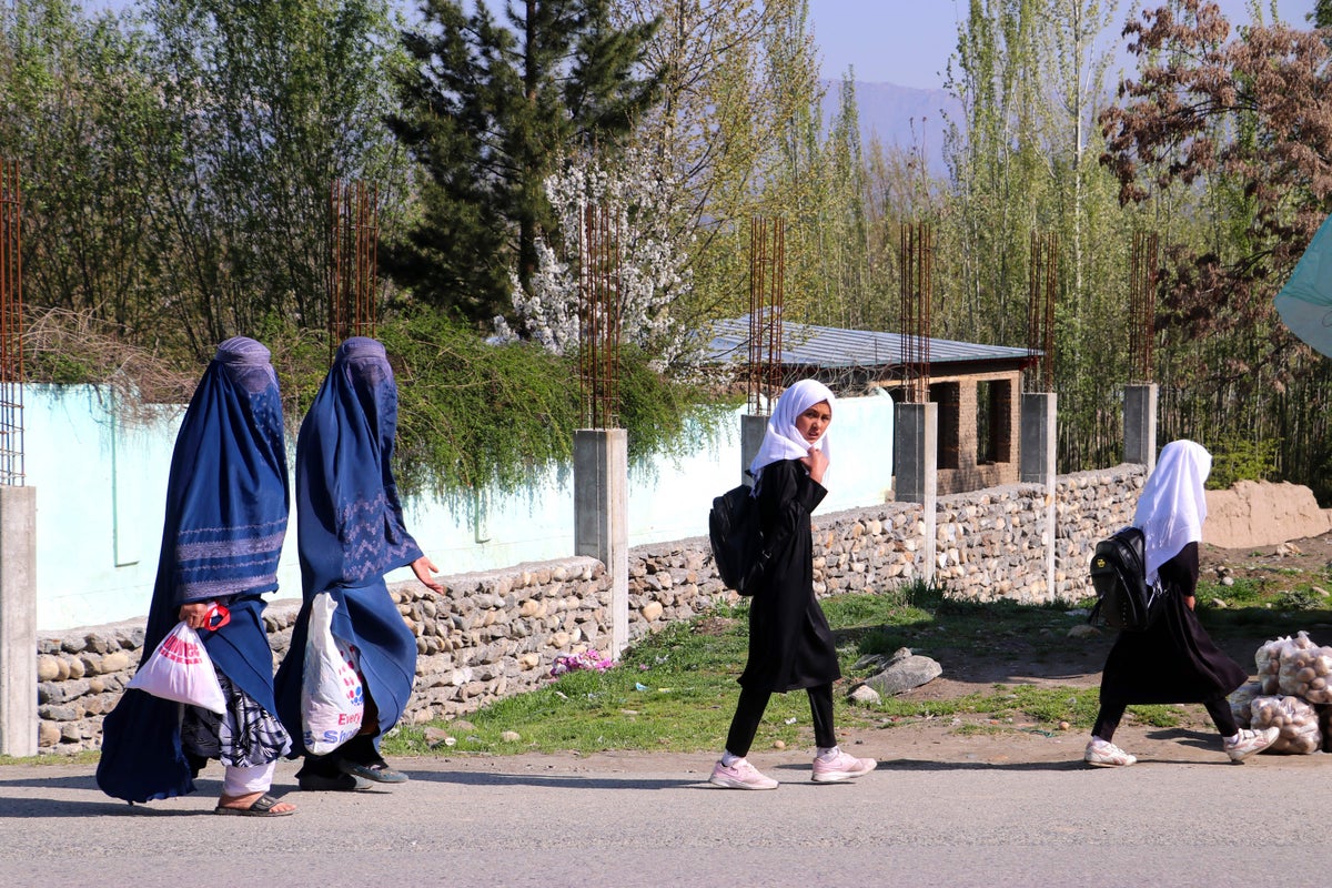 Afghanistan marks two years of women and girls being banned from schools: ‘Hopeless and broken’