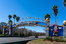 Wild black bear on the loose forces Disney World to close rides