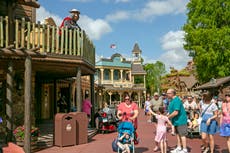 Wild black bear at Walt Disney World in Florida captured after search