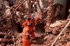 ‘Entombed donkey’ pulled from rubble of collapsed building in Morocco