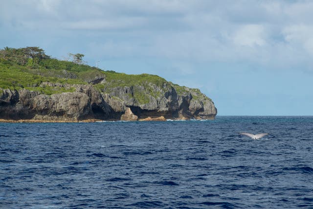 Niue Ocean Sponsorship