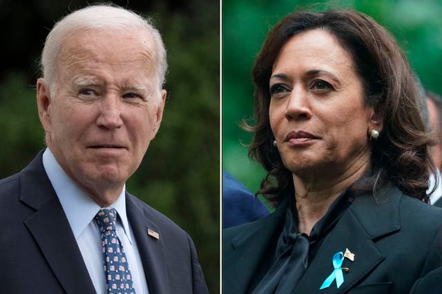 <p>Joe Biden and Kamala Harris are running for reelection in 2024. Some Democrats aren’t thrilled about that. </p>