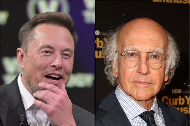<p>Elon Musk (left) and Larry David</p>