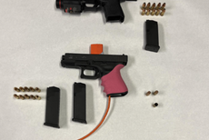 Three suspects arrested for stealing French bulldog at gunpoint