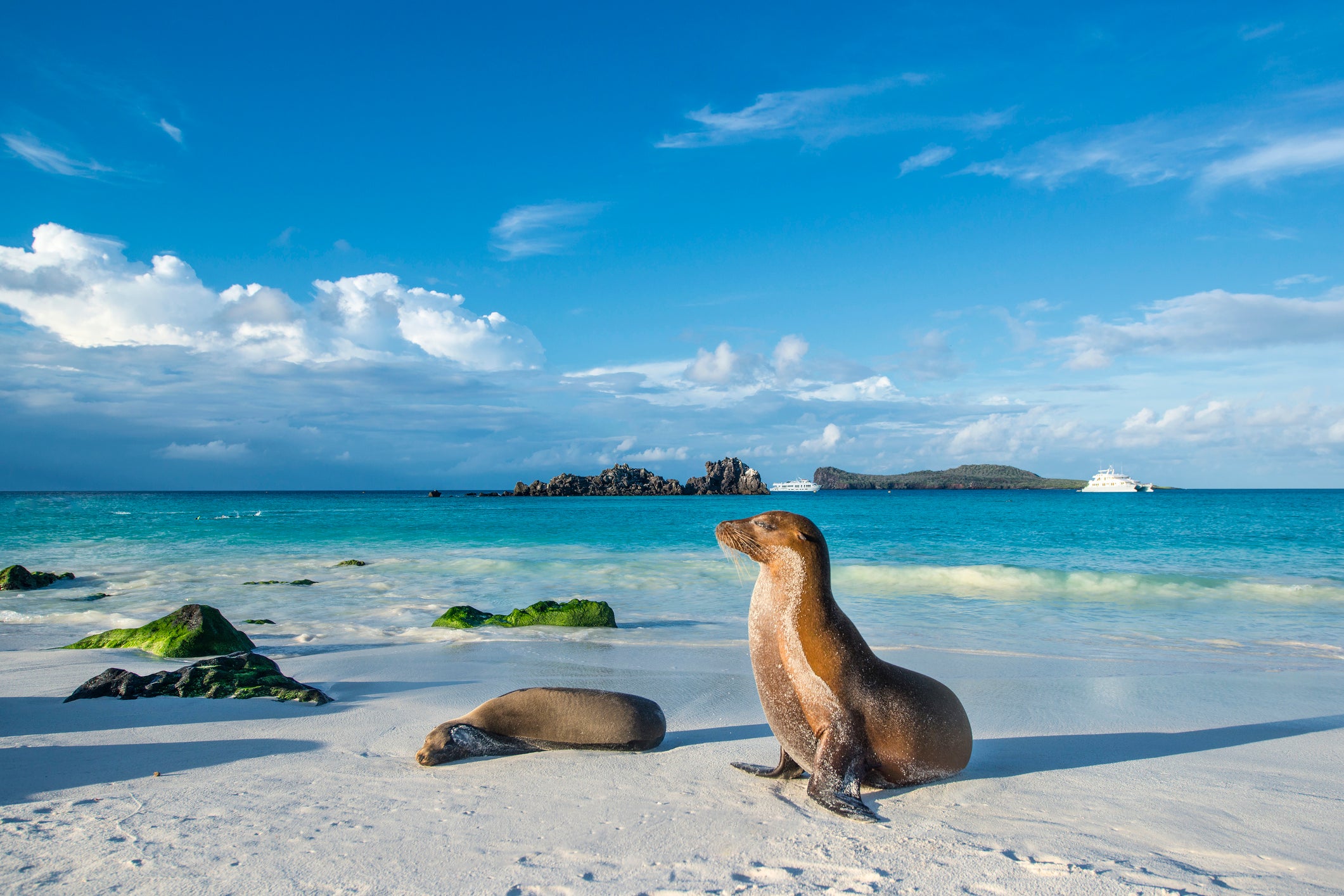 Ring in the New Year on a loop of the Galapagos Islands