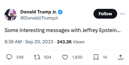 The apparently hacked account of Donald Trump Jr mentioned the convicted sex offender Jeffrey Epstein, who died in 2019