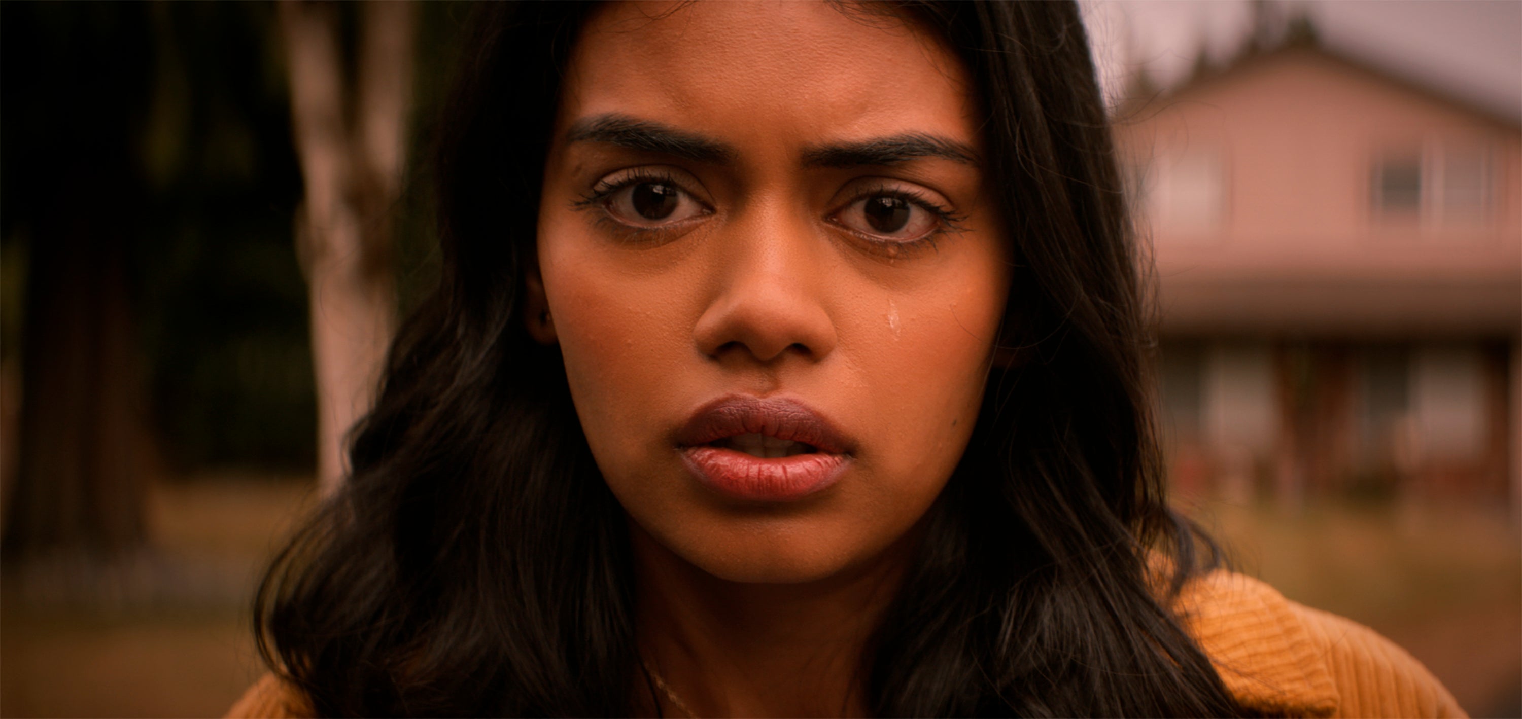 Film Review - It Lives Inside