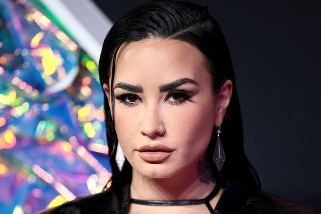 Demi Lovato Gets Nervous If Boyfriend Jutes Watches Her Perform