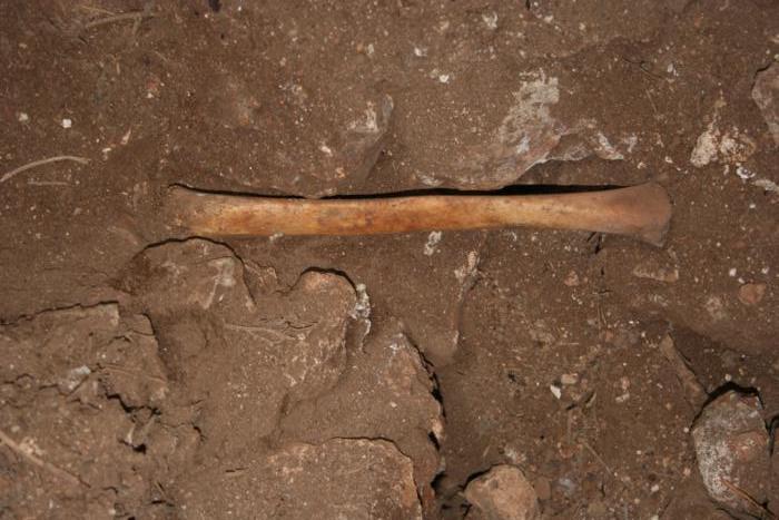 Human bone found inside the cave