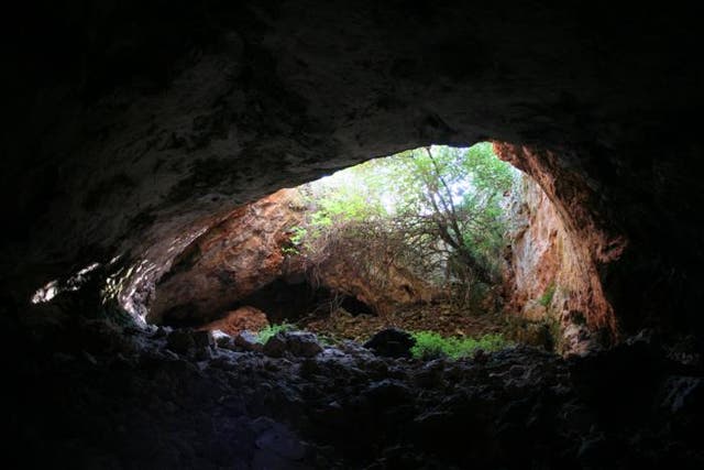 <p>View of the cave entrance from inside</p>