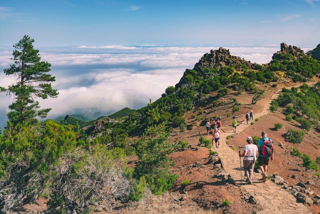 <p>Hikers on the Vereda do Areeiro hiking trail in Madeira </p>