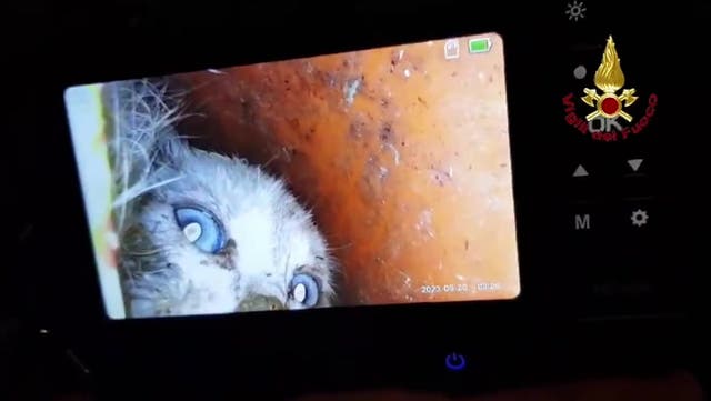 <p>Kitten gets stuck in drain pipe inside concrete wall as firefighters save the day in five-hour rescue.</p>