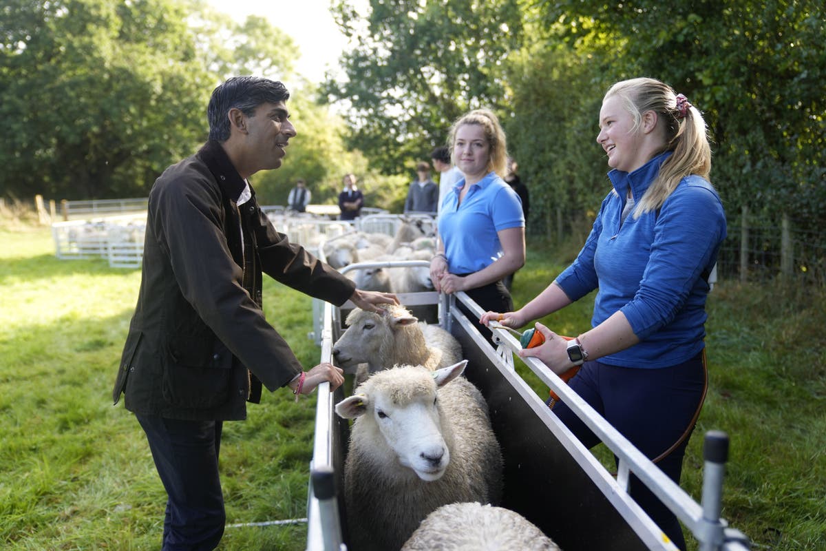 Sunak chats to farming apprentices on back of net-zero announcement - Vimarsana News