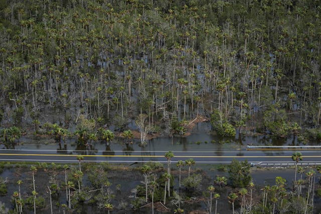 Hurricane Idalia-Florida Agriculture