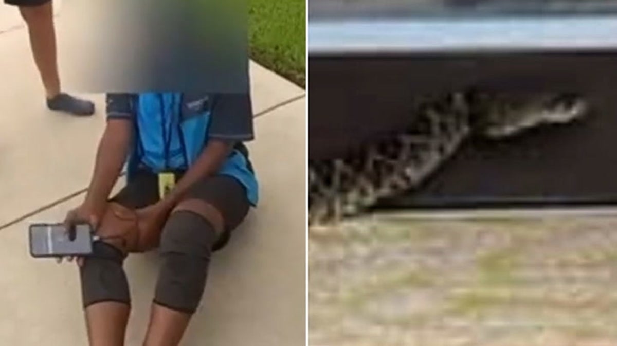 Amazon driver reels on floor after being bitten by rattlesnake in Florida